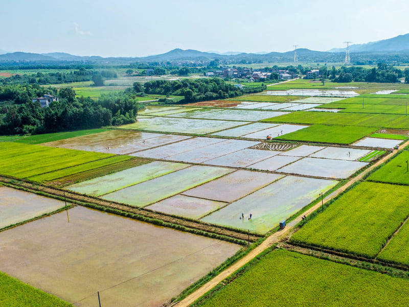 恒美科技助力高標準農田建設，推進農業現代化