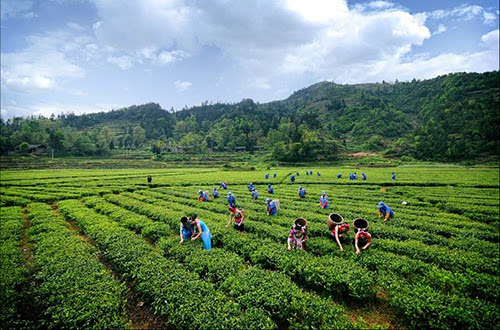 土壤快速測量儀器